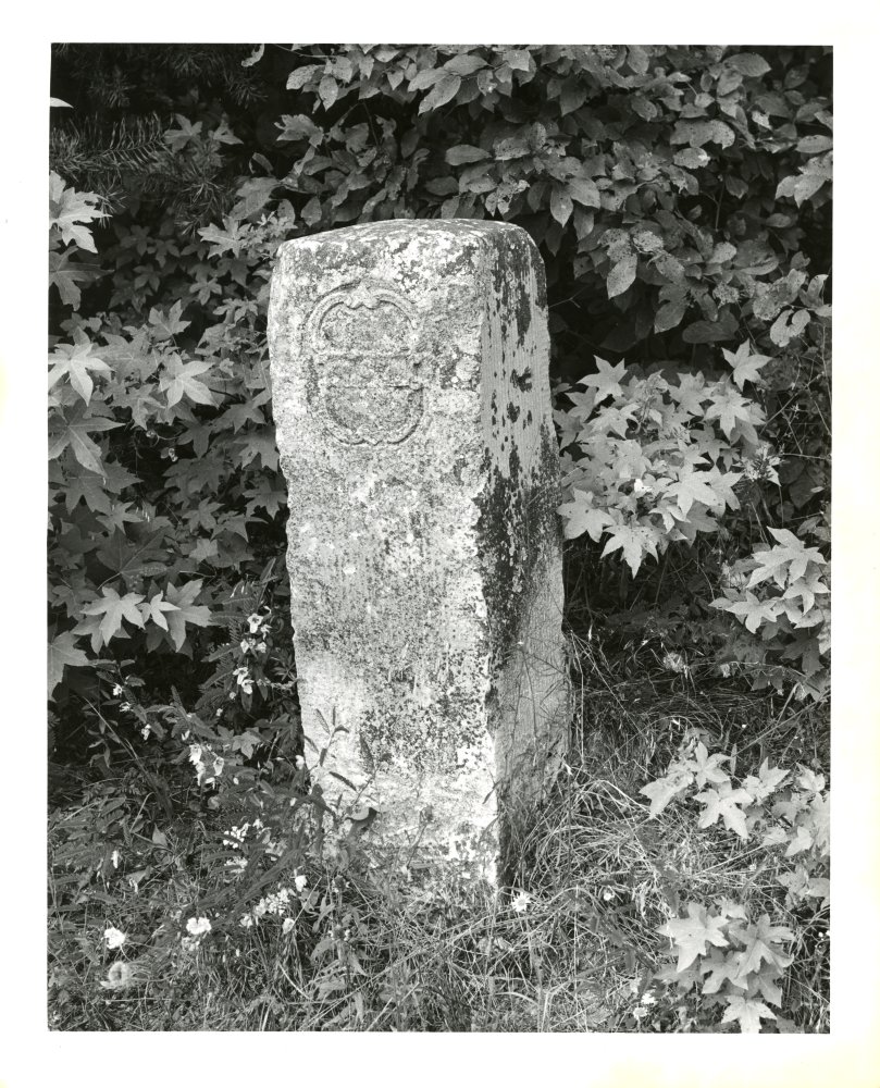 22-202 (click for large image)